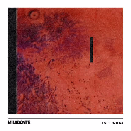 Carátula MILODONTE - Enredadera