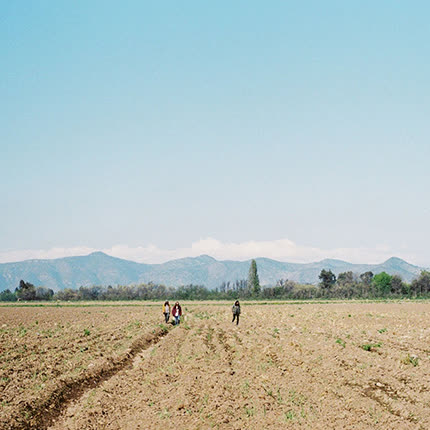 Carátula LAGUNAS MENTALES - Lagunas Mentales