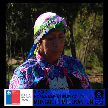 Carátula NORMA MARIA LIEMPI COLIPI - Mongueleimi Ülkatun