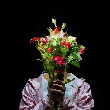 Carátula DAVID DEFLORES - D2a3