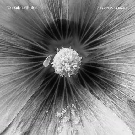 Carátula THE SUICIDE BITCHES - No More Punk Drama