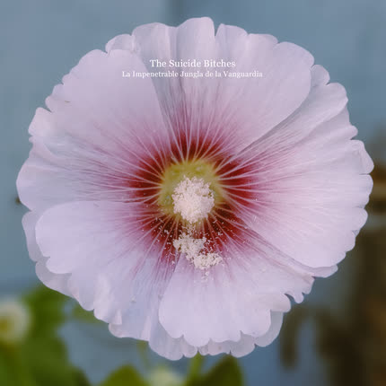 Carátula THE SUICIDE BITCHES - La Impenetrable Jungla de la Vanguardia