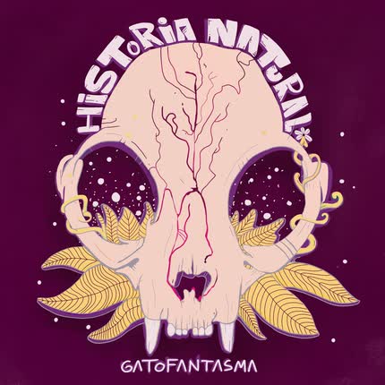 Carátula GATOFANTASMA - Historia Natural