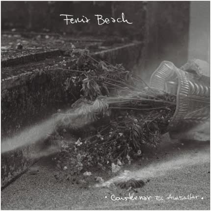 Carátula FERIA BEACH - Consternar es Avasallar