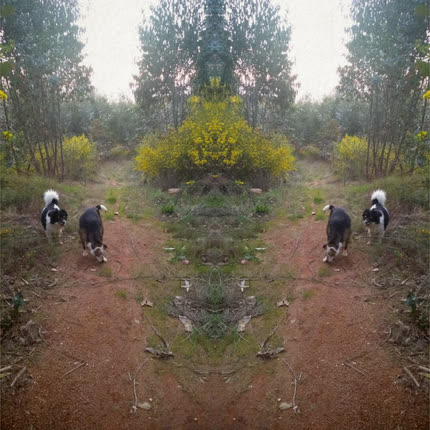 Carátula CAMINO RURAL - Aquí Voy