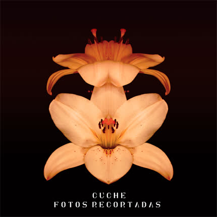 Carátula CUCHE - Fotos Recortadas