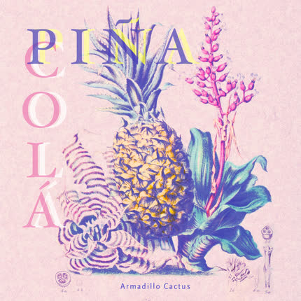 Carátula ARMADILLO CACTUS - Piña Colá