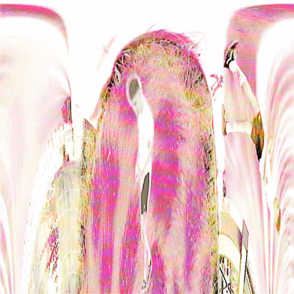 Carátula MCET - Rumbos