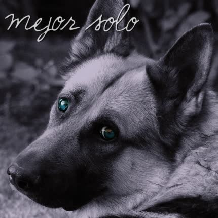 Carátula LOS MIL JINETES - Mejor solo (Alice Deejay)