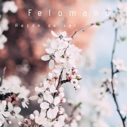 Carátula FELOMANO - Razón de Ser