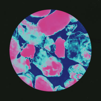 Carátula CHICO BESTIA - Arena