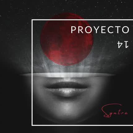Carátula SYNTRA SOLISTA - Proyecto 14