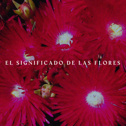 Carátula EL SIGNIFICADO DE LAS FLORES - Escarcha (Muestra)