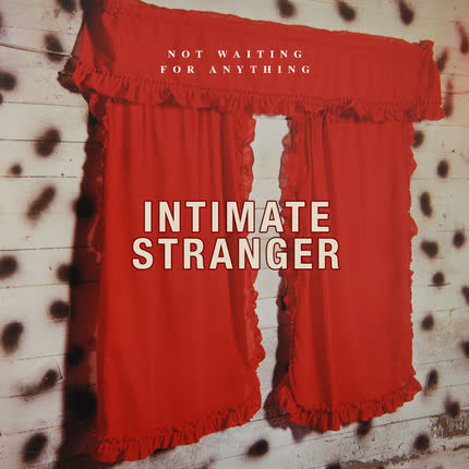 Carátula INTIMATE STRANGER - Not Waiting for Anything