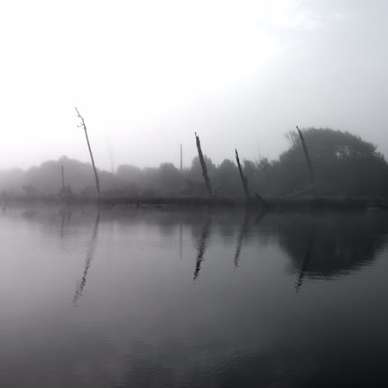Carátula BENITO CERENO - El Delta de un Río