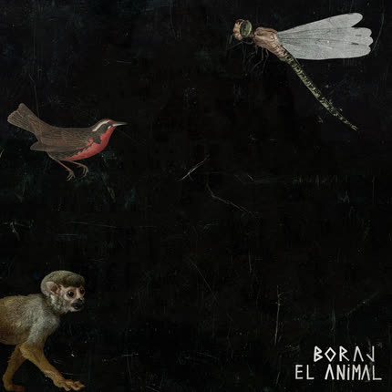 Carátula BORAJ - El Animal: Parte I