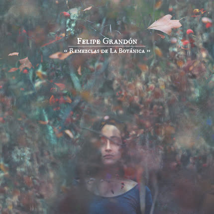 Carátula FELIPE GRANDON - Remezclas de la Botánica