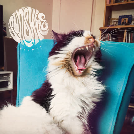 Carátula JACO SANCHEZ - Sunshine