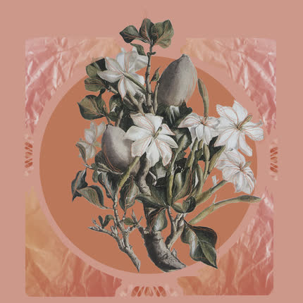 Carátula NIÑOS DEL CERRO - El Sueño Pesa