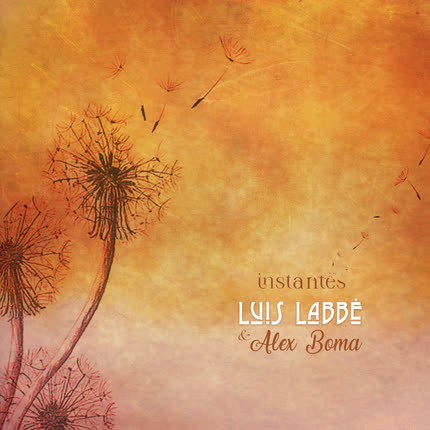Carátula LUIS LABBE - Instantes