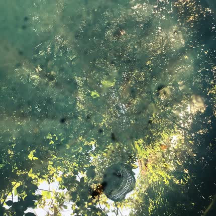 Carátula DROGATONES - Espejismo