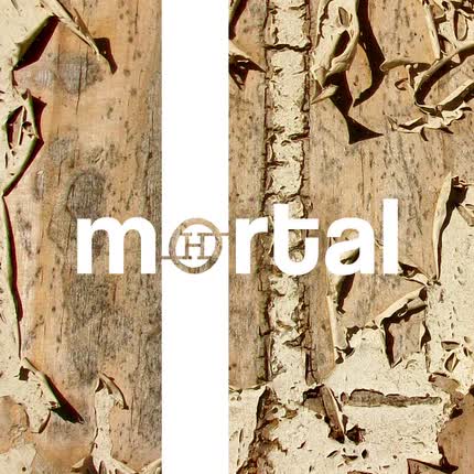 Carátula OSCAR HAUYON - Mortal Remixes