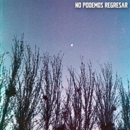 Carátula CUCHE - No Podemos Regresar