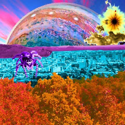 Carátula SOCRATES EL GUITARRISTA - Salticidae