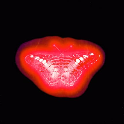 Carátula MCET - Pasos