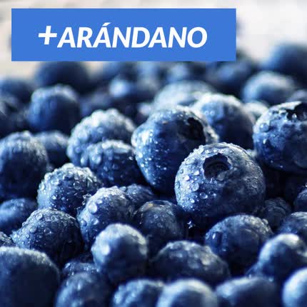 Carátula ARANDANO - Más Arándano