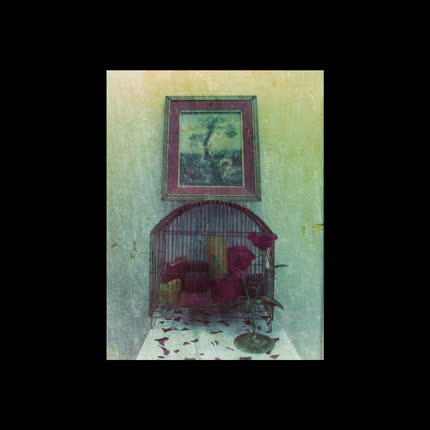 Carátula MISMOINERTE - Árbolcamina