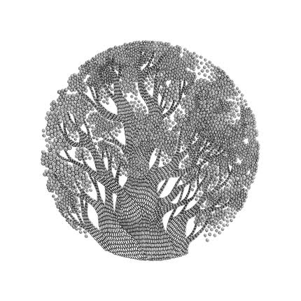 Carátula DESPEJADO - Un Bosque Nuevo
