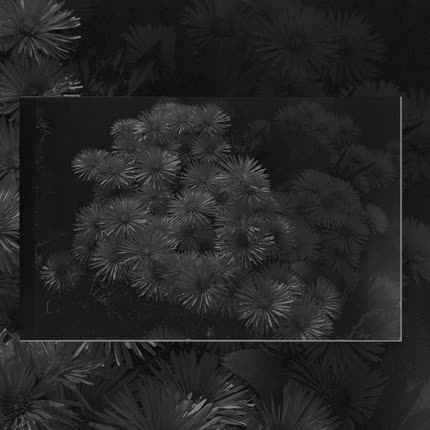 Carátula Beat Tape, Vol. I