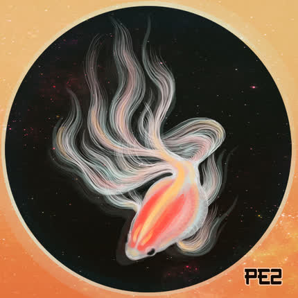 Carátula FRAN RI & SAMURAI GROOVE - Pez