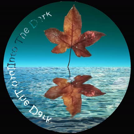 Carátula SILENT GARDEN - Into the Dark