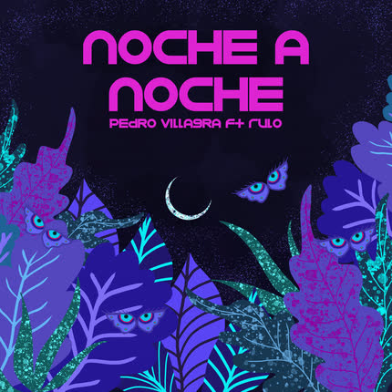 Carátula PEDRO VILLAGRA - Noche a Noche