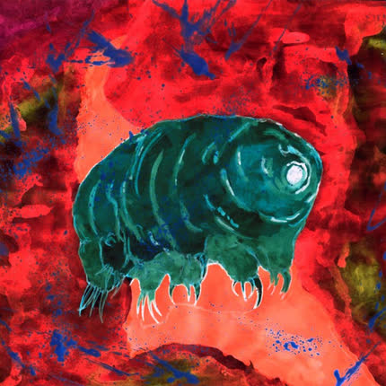 Carátula Pequeños Seres