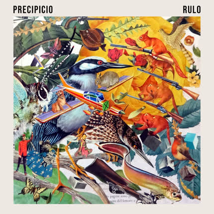 Carátula RULO - Precipicio