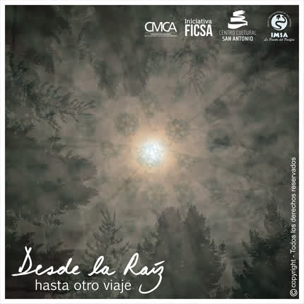 Carátula DESDE LA RAIZ - Hasta Otro Viaje