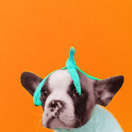 Carátula ELDANI - No Me Digan Que Nadie Avisó