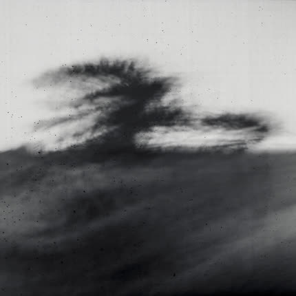 Carátula NIÑA TORMENTA - Voy a Hacer las Cosas Lento