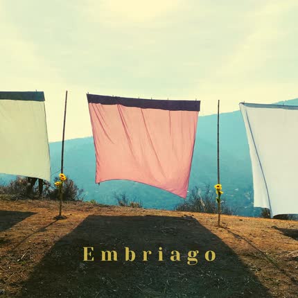 Carátula ANDRES - Embriago