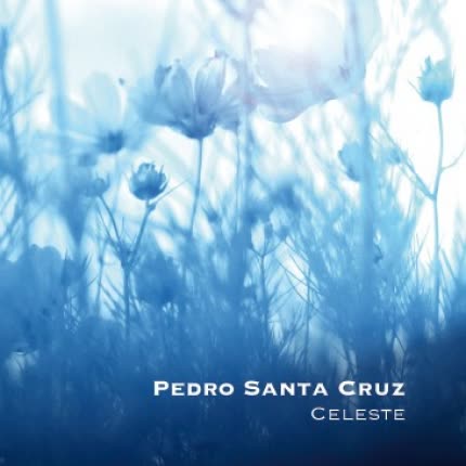 Carátula PEDRO SANTA CRUZ - Celeste