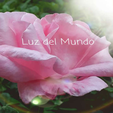 Carátula VICWILLIAMS - Luz del Mundo