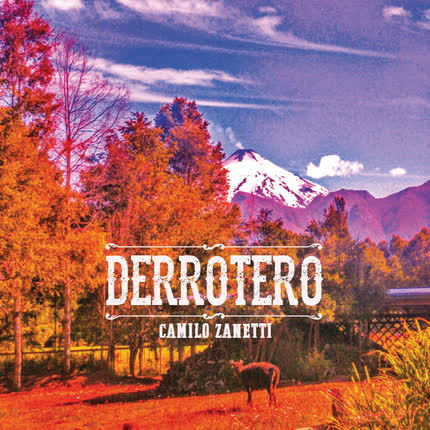 Imagen CAMILO ZANETTI