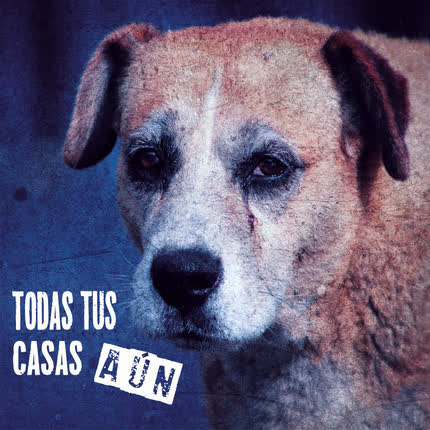 Carátula TODAS TUS CASAS - Aún