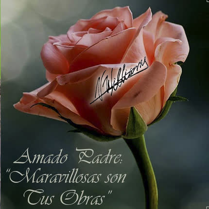 Carátula MARIETTA Y VIC - Amado Padre