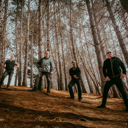 Carátula VIENTO DEL SUR - Margaritas