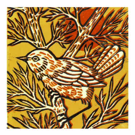 Carátula AMAPOLA - Pajarito