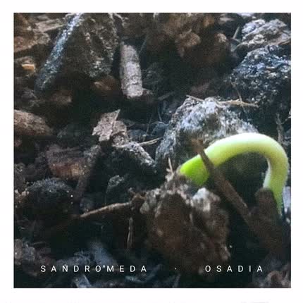 Carátula SANDROMEDA - Osadía
